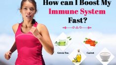 Immune System