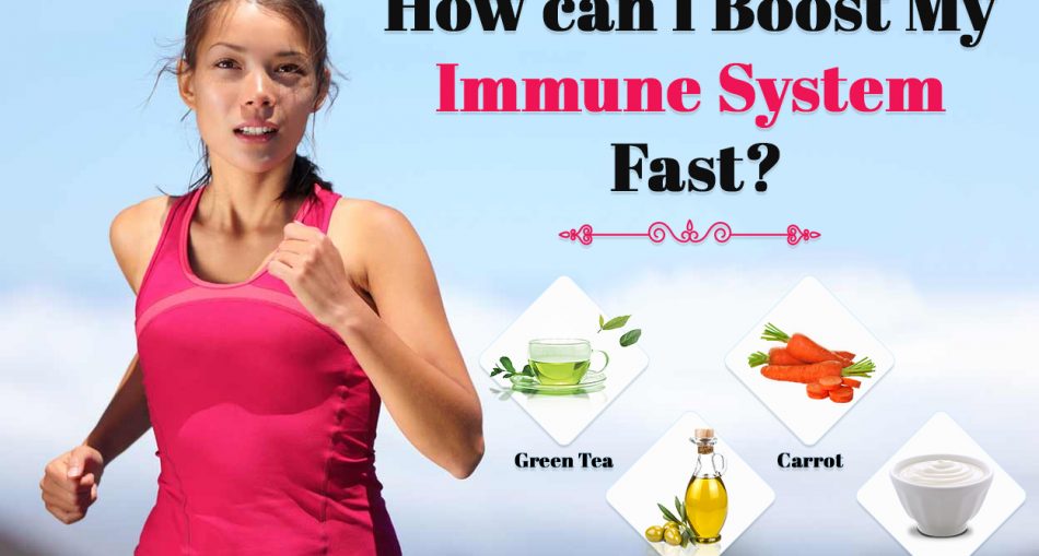 Immune System