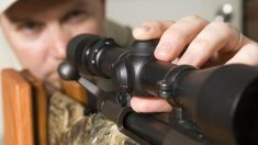 how-to-sight-a-rifle-scope
