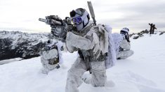 Unique Management Tips to Take From Navy SEALs