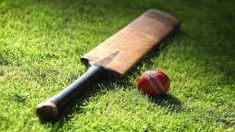 How Fantasy Cricket is Changing the Sport?