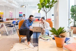The Best Way to Set Up a New Business