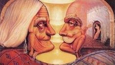 optical illusions
