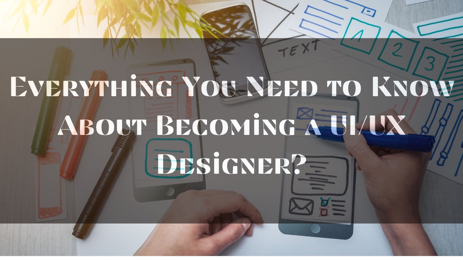 Everything You Need to Know About Becoming a UI/UX Designer